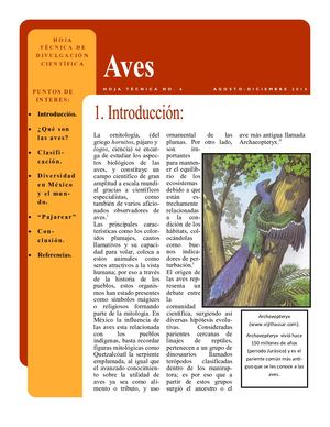 6 Aves Pdf