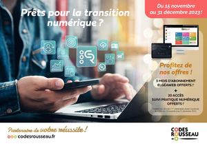 Prêts pour la transition numérique ? Offres de fin d'année 2023 - version Drom Com
