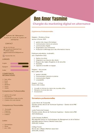 Cv Yasmine Ben Amor
