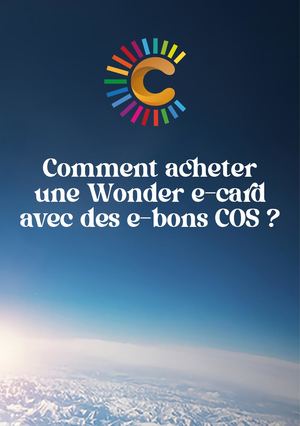 Guide D'achat De Wonder E Card