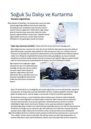 Soğuk Su Dalışı Ve Kurtarma Thomas Kromp