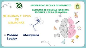 Neuronas Y Tipos De Neuronas