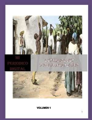 Revista Digital Comercio triangular