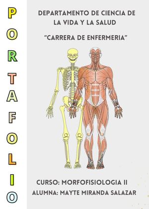 Portafolio Morfofisiologia