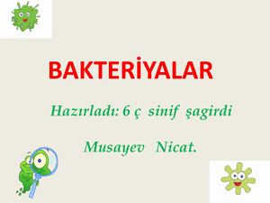 Bakteriyalar