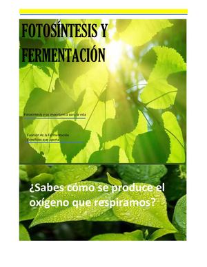 REVISTA FOTOSINTESIS