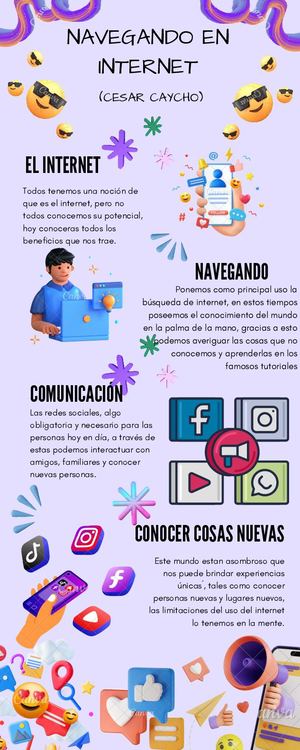 NAVEGANDO EN INTERNET