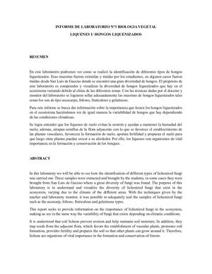 Informe De Laboratorio N°3