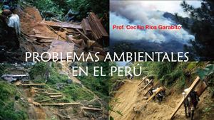 Problemas Ambientales