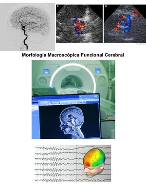 Neurociencias Revista Digital