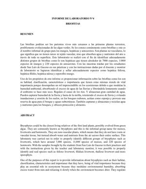 Informe De Laboratorio N°4