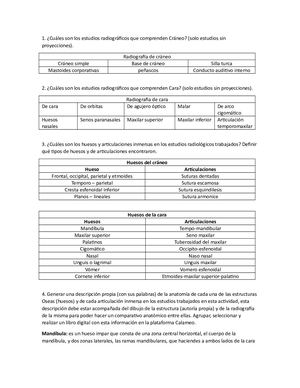Tarea 4 Anaomia