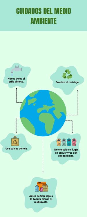 Infografía Cuidado Del Medio Ambiente Moderno Verde