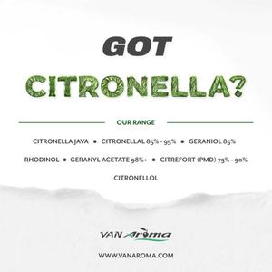 Got Citronella? Van Aroma