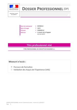 17- Dossier professionnel pour titre professionnel