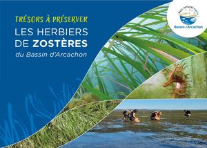 Trésors à préserver - Les herbiers de zostères du Bassin d'Arcachon (livret)