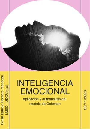 3.4 Aplicación del modelo de Goleman