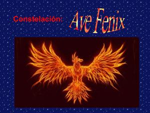 El Ave Fenix (1)