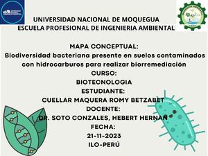 Biodiversidad Bacteriana Presente En Suelos Contaminados Con Hidrocarburos Para Realizar Biorremediación