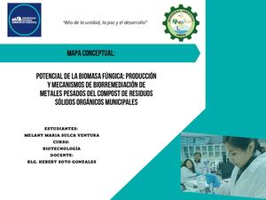 Grafico Mapa Conceptual Potencial De Biomasa Fungica