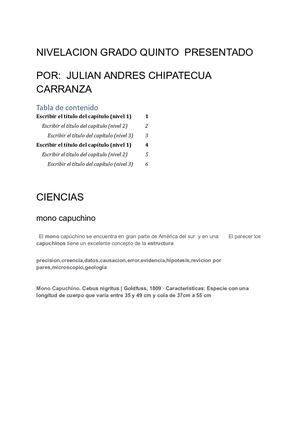 Julian Andres Chipatecua Carranza Libro De Texto