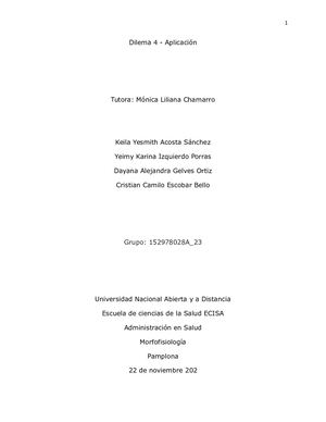 Dilema 4 Aplicacion Morfofisiologia