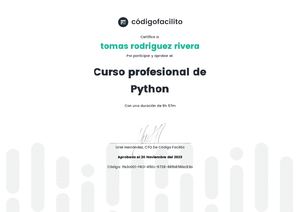 Certificado Curso Profesional De Python