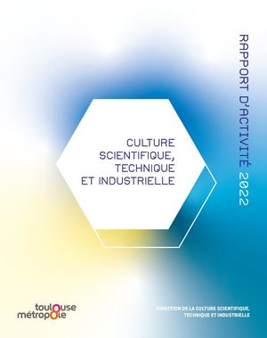 Rapport D'activité De La Dcsti 2022