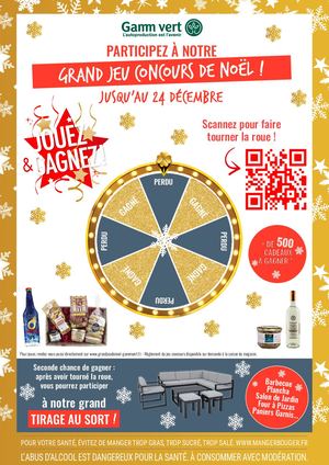 Affiche Jeu Concours
