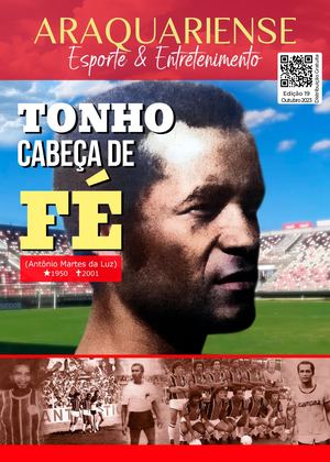 Revista Araquariense Edição 19