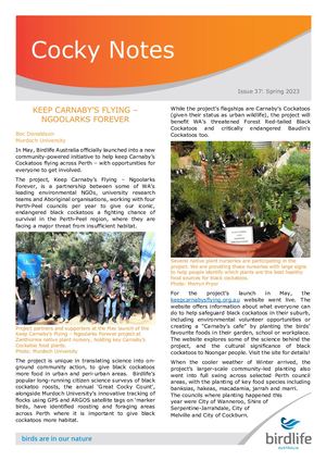 Spring 2023 Cocky Notes