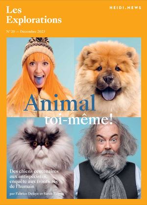 N°20 - Animal toi-même!