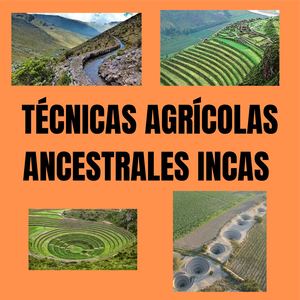 Calam o Tecnicas Agricolas Ancestrales Incas Calam o Tecnicas Agricolas Ancestrales Incas