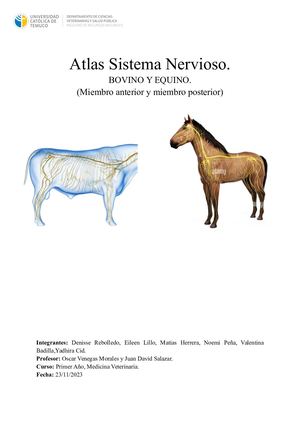 Atlas De Sistema Nerviosos Anatomia (1)