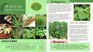 Plantas medicinales de María la baja (2da Edición)