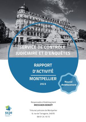 Rapport D'activité De Montpellier (2)