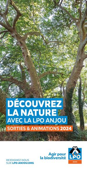 Guide des sorties 2024 | LPO Anjou