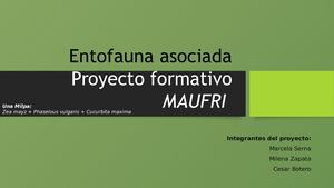 Entofauna asociada a Una Milpa