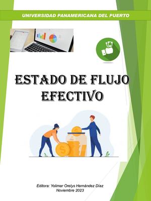 Revista Digital Estado De Flujo De Efectivo Yohd