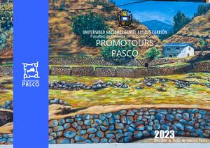 Promotours Pasco 2023 - Distrito de Pallanchacra N°3