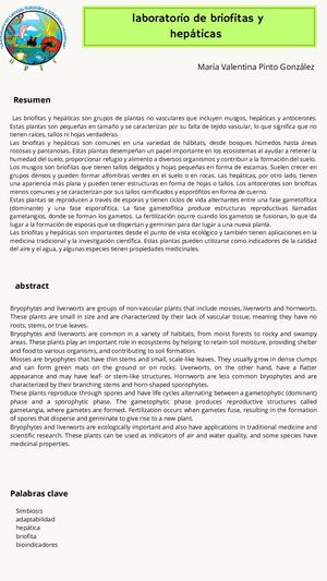 briofitas y hepaticas
