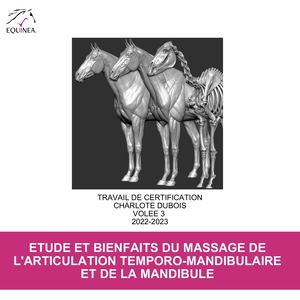 Charlotte Dubois Etude De Cas Massotherapie Equine
