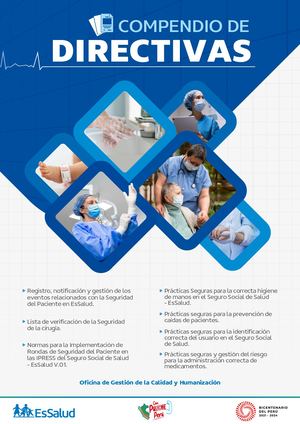 Compendio De Directivas Es Salud