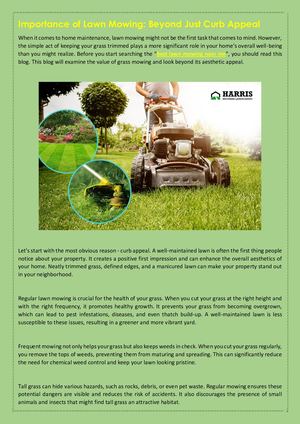 Importance Of Lawn Mowing Beyond Just Curb Appeal