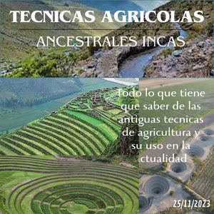 Tecnicas Agricolas Ancestrales Incas (2)