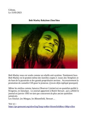 Bob Marley Babylone Zion