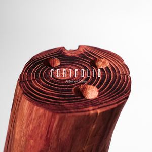 PORTFOLIO Architecte DE Antoine LAFAYE