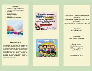 Tríptico Retardo Mental (1)