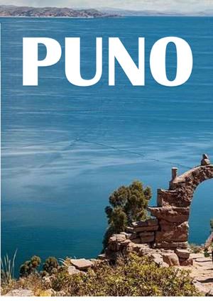 Departamento De Puno 2