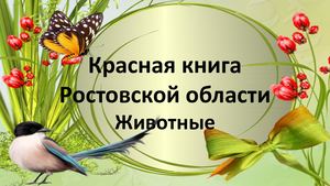 Красная книга РО Животные